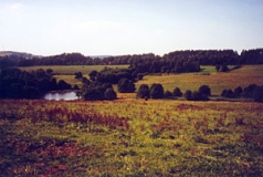 Grünland, Hecken und Fischteiche im Elterleiner Teichgebiet im Vorland des Mittelerzgebirges (Foto: Margret Kirch)