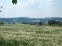 Offene Mittelgebirgslandschaft östlich von Neustadt in Sachsen (Foto: Usch Martin)