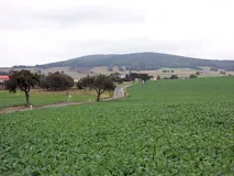 Blick auf den Keulenberg (403 m) in den Nordwestlausitzer Vorbergen (Foto: Christof Martin)