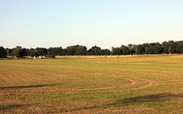 Ackerlandschaft im Oberlausitzer Gefilde nördlich Bautzen (Foto: Christof Martin)