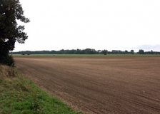 Weiträumige offene Agrarlandschaft in der Grossenhainer Pflege (Foto: Christof Martin)