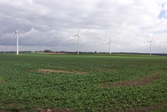 Weiträumige Agrarlandschaft mit Windrädern zwischen Riesa und Oschatz (Foto: Christof Martin)