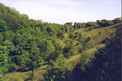Obstwiesen und Halbtrockenrasen im NSG Kukulauer Grund (Foto: Bahram Gharadjedaghi)