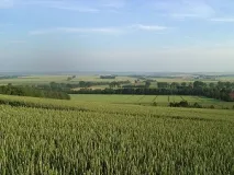 Blick über die Harzrandmulde nach Süden, im Hintergrund der Höhenzug des Huys (Foto: Jörg Rassmus)
