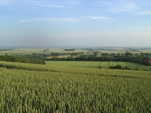 Blick über die Harzrandmulde nach Süden, im Hintergrund der Höhenzug des Huys (Foto: Jörg Rassmus)