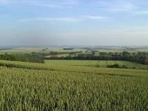 Blick über die Harzrandmulde nach Süden, im Hintergrund der Höhenzug des Huys (Foto: Jörg Rassmus)