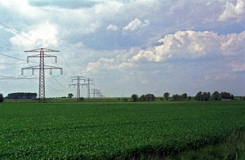 Weiträumige Agrarlandschaft in der Lößbörde bei Hohenhameln (Foto: Christof Martin)