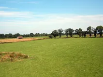 Offene Parklandschaft westl. Verden im NSG "Ellewicker Feld" (Foto: Usch Martin)