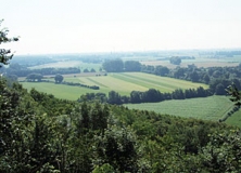 Blick von den Vardingholter Sandplatten (LS 57804) nach Osten in die Westmünsterländer Geest (Foto: Usch Martin)