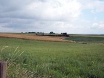 Blick von der niederländischen Grenze über den Selfkant (Foto: Usch Martin)