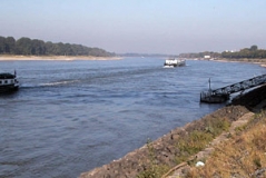 Blick nach NW entlang der Düsseldorf-Weseler Rheinaue. Der Rhein mit sehr starkem Niedrigwasser (Foto: Rolf Heimann)