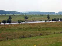 Blick über die untere Rheinniederung westl. Emmerich (Foto: Usch Martin)