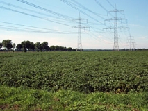 Ackerlandschaft im Lingener Land westl. Meppen (Foto: Usch Martin)