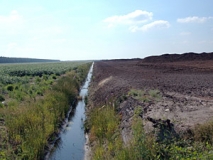 Torfabbau und Kartoffelanbau auf Torfböden im Bourtanger Moor (Foto: Usch Martin)