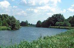 Die Hunte (Foto: Michael Dietrich)