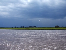 Blick von der Elbefähre Glückstadt-Wischhaven auf die Stader Elbmarschen (Foto: Usch Martin)