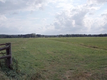 Grünlandnutzung in den Stader Elbmarschen (Foto: Usch Martin)