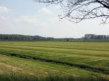 Blick über die untere Störniederung bei Itzehoe nach Osten (Foto: Christof Martin)