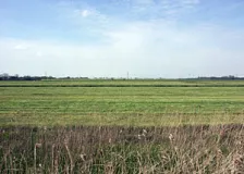 Blick nach Westen in die Kremper Marsch (Foto: Christof Martin)
