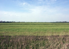 Blick nach Westen in die Kremper Marsch (Foto: Christof Martin)