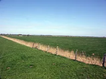 Blick von der B202 in Richtung Treene-Niederung nach Norden (im Hintergrund die Altmoränen der Bredstedt-Husumer Geest) (Foto: Christof Martin)