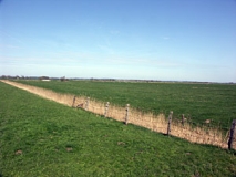 Blick von der B202 in Richtung Treene-Niederung nach Norden (im Hintergrund die Altmoränen der Bredstedt-Husumer Geest) (Foto: Christof Martin)