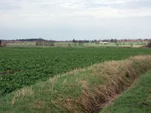 Blick über die Lecker Geest bei Ladelund (Foto: Christof Martin)