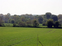 Knicklandschaft im Aukrug (Foto: Christof Martin)