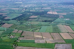 Knicklandschaft der Schleswiger Vorgeest (Foto: Heiko Grell)