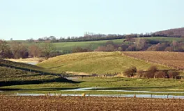 Knicklandschaft in Ostholstein bei Sieversdorf (Foto: Christof Martin)