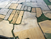 Knicklandschaft im südlichen Ostholstein (Foto: Raika Boysen)