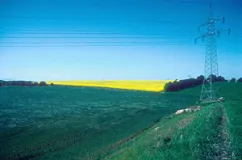 Weitläufige Ackerlandschaft mit Knicks (Wallhecken) bei Neurathjensdorf (Foto: Christof Martin)