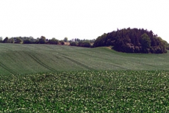 Ackerbaulich geprägte Jungmoränenlandschaft im Hinterland der Ostseeküste bei Bliesdorf (Foto: Christof Martin)