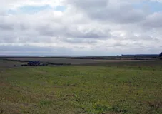 Grünland in der Rostock-Gelbensander Heide an der Ostseeküste bei Graal-Müritz (Foto: Usch Martin)