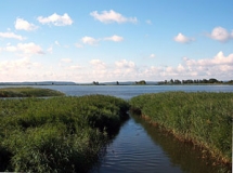 Am Großen Jasmunder Bodden bei Spyker (Foto: Usch Martin)