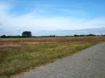 Weite Agrarlandschaft südlich von Warsin (Foto: Usch Martin)