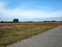 Weite Agrarlandschaft südlich von Warsin (Foto: Usch Martin)