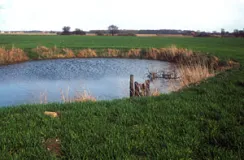 Ackerlandschaft mit Soll (Gewässer) und Feldhecken östlich Rostock (Foto: Christof Martin)