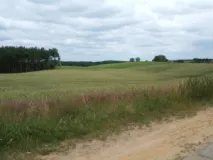 Hügellanschaft bei Pampow (Foto: Usch Martin)