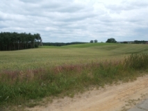 Hügellanschaft bei Pampow (Foto: Usch Martin)