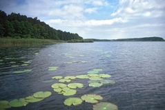 Im Neustrelitzter Kleinseenland bei Mirow (Foto: Christoph Herden)