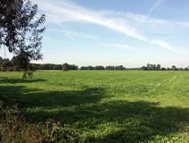 Agrarlandschaft im Baruther Tal (Foto: Christof Martin)