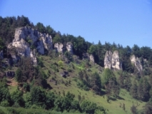 Wacholderheide unterhalb der Felsformation "12 Apostel" im Altmühltal (Foto: Uwe Riecken)