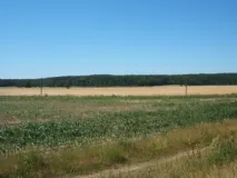 Agrarlandschaft bei Groß Gastrose (Foto: Usch Martin)
