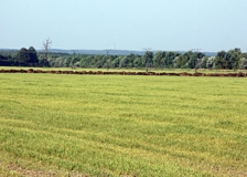 Blick über die Niederlausitz in Richtung Lausitzer Grenzwall (Foto: Christof Martin)