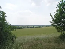 Blick über den Hohen Fläming (Foto: Jörg Rassmus)