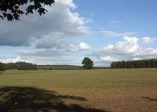 Wechsel von Acker und Wald an der Grenze vom Rosslau-Wittenberger Vorfläming zum Zentralen Fläming bei Göritz (Foto: Christof Martin)