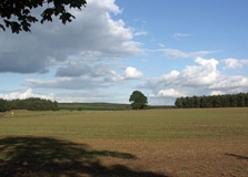 Wechsel von Acker und Wald an der Grenze vom Rosslau-Wittenberger Vorfläming zum Zentralen Fläming bei Göritz (Foto: Christof Martin)