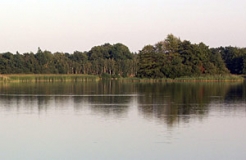 Teiche in der Niederlausitz (Foto: Christof Martin)