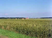 Blick nach Südosten in die Lonetal-Flächenalb (Niedere Alb) (Foto: Rolf Heimann)